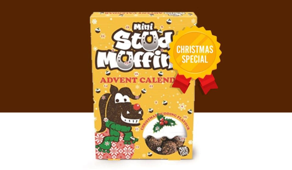 Christmas Pudding 15 Pack Stud Muffins