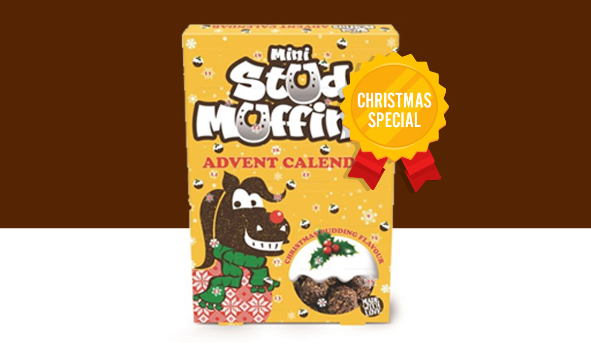 Christmas Pudding 15 Pack Stud Muffins
